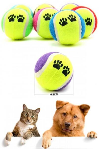 ست 3 عددی توپ آموزشی گربه - سگ چند رنگ برند TİNEKE