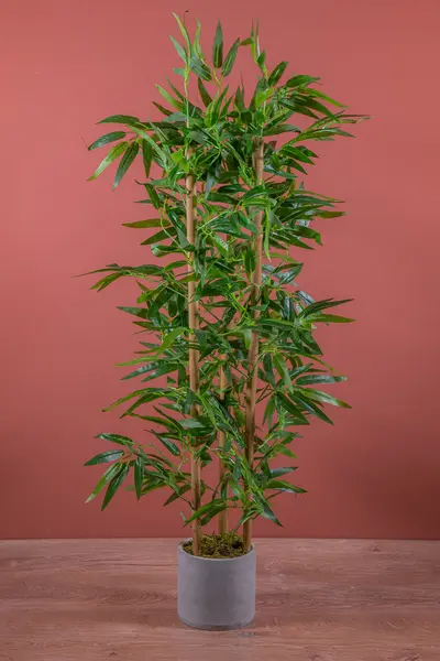 ست گلدان بتنی - درخت بامبو مصنوعی خاکستری سبز 