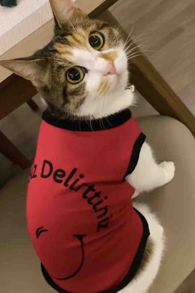 لباس گربه - سگ چاپ دار سایز S قرمز مشکی برند Monopetz
