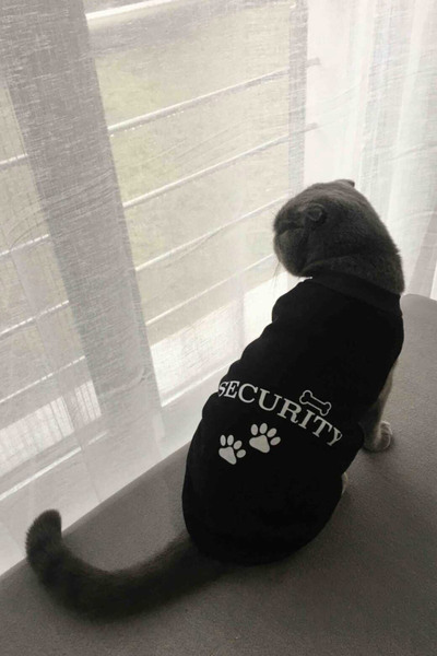 لباس گربه - سگ چاپ دار مشکی برند Monopetz