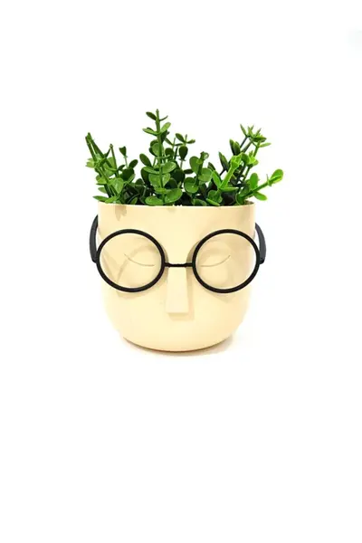 ست گلدان - گیاه مصنوعی همراه عینک تزئینی بژ