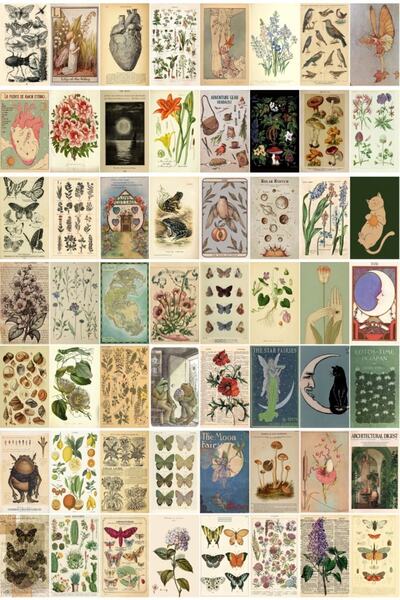 ست 60 عددی پوستر دیواری مضمون گیاه شناسی قدیمی برند bukashops